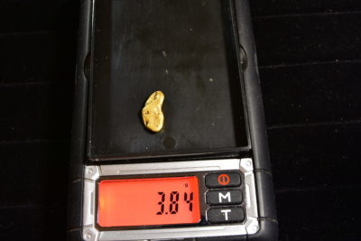 gold Nugget weight