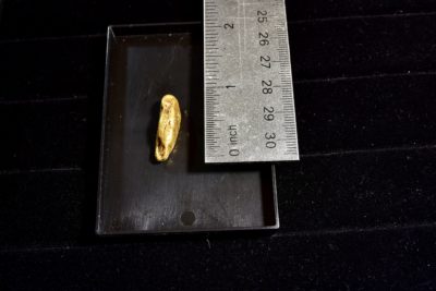 gold Nugget size