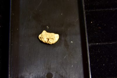 gold Nugget