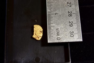 gold Nugget size